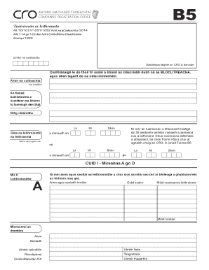Form B5 Share Issue Report