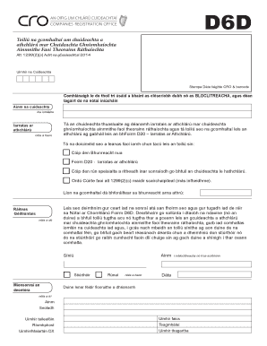 Ireland Company Re-Registration Consent Form