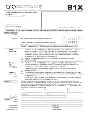 Irish Company Financial Statement Review Form