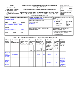 Form 4 Statement of Changes in Beneficial Ownership