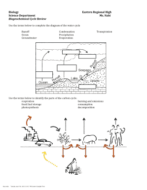 Biogeochemical Cycle Review Worksheet