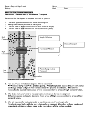 Essay outline template - membrane transport worksheet