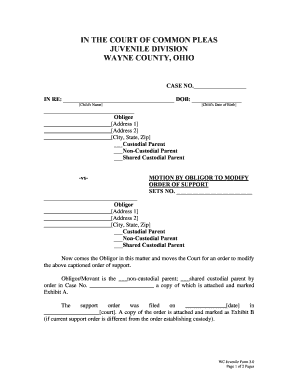 Motion to Modify Child Support Order