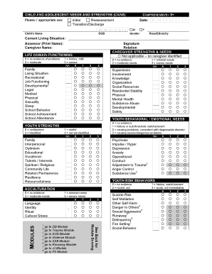 Child and Adolescent Needs and Strengths (CANS) Form