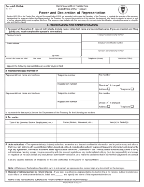 Puerto Rico Power of Attorney for Tax Representation