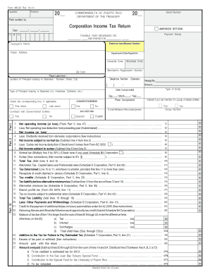 Puerto Rico Corporation Income Tax Return Form 480.20