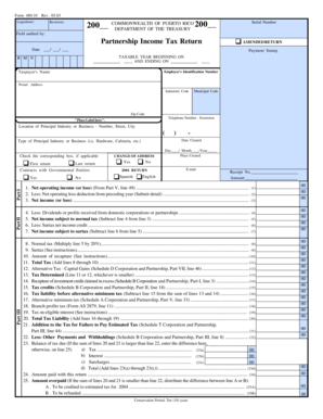 Puerto Rico Partnership Income Tax Return Form 480.10