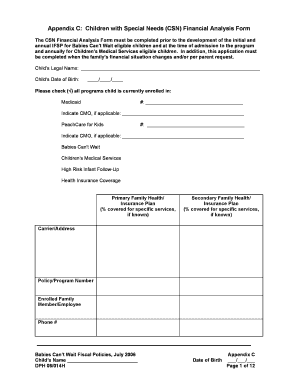 Children with Special Needs Financial Analysis Form