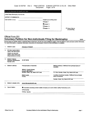 Voluntary Petition for Non-Individuals Filing for Bankruptcy