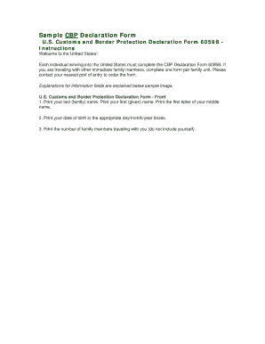 US Customs and Border Protection Declaration Form 6059B