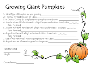 Growing Giant Pumpkins Guide