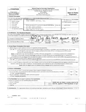 IRS Form 990 2013