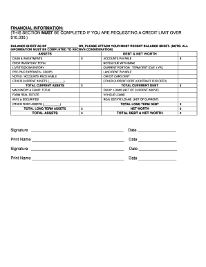 Financial Information Form for Credit Limit Request