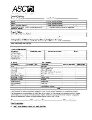 Financial Worksheet for Loan Application