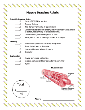 Muscle Drawing Rubric