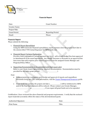 Financial Report for Grant
