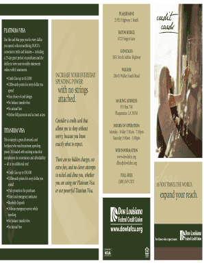 DLFCU Visa Credit Card Application