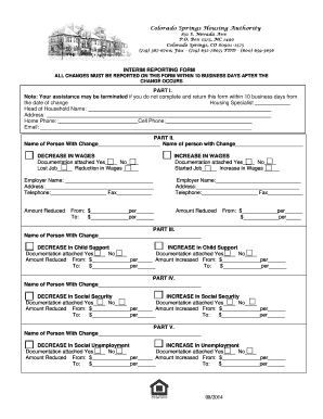 Interim Reporting Form