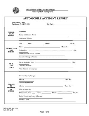 Florida Automobile Accident Report