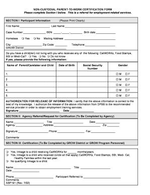 Non-Custodial Parent-To-Work Certification Form