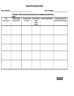 Business Plan Reporting Template