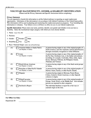 Voluntary Race Ethnicity Gender Disability Identification Form
