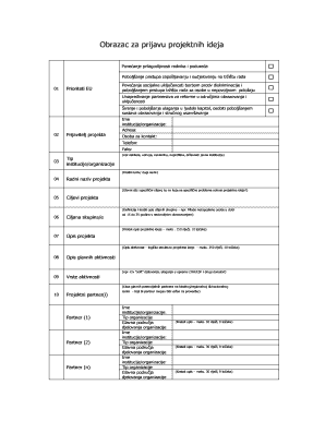 EU Project Idea Application Form