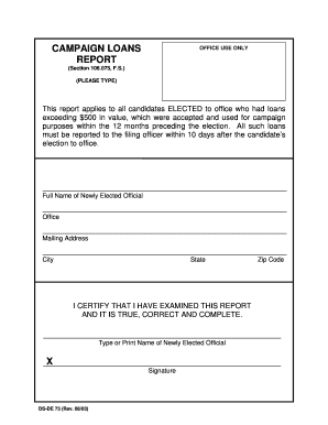 Campaign Loans Report
