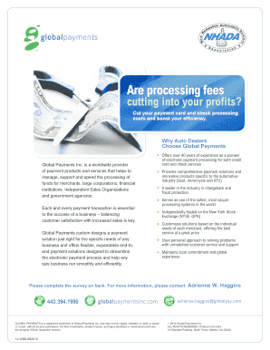 Global Payments Auto Dealer Survey Form