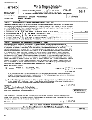 IRS Form 8879-EO Signature Authorization