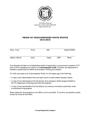 Proof of Unaccompanied Youth Status Form