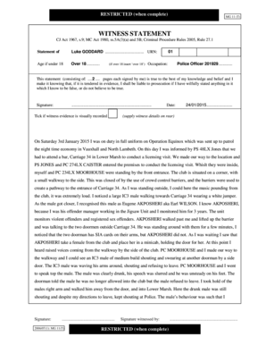 UK Police Witness Statement Form