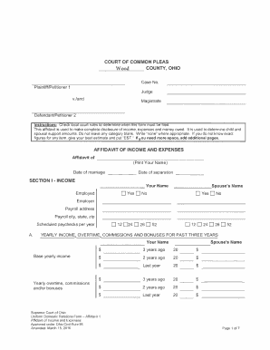 Affidavit of Income and Expenses