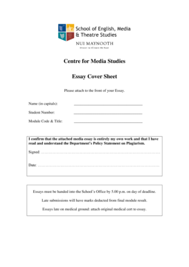 Media rich essay image