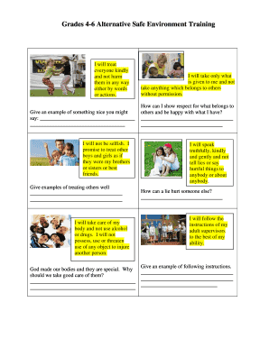 Alternative Safe Environment Training Form