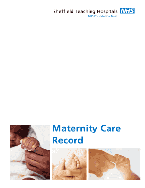 Maternity Hand Held Record