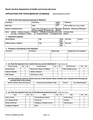 Form preview picture