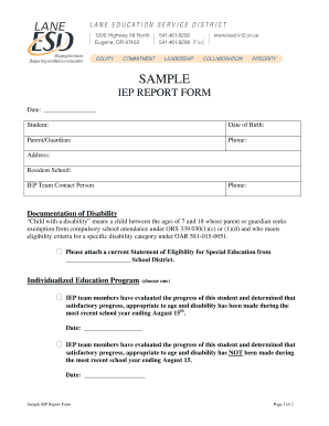 IEP Report Form