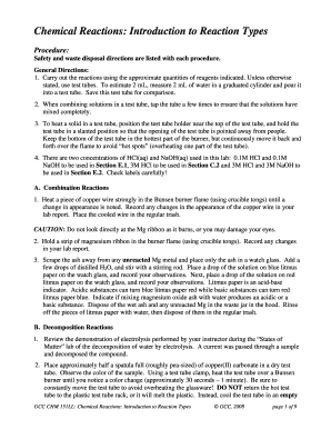 Chemical Reactions Lab Report