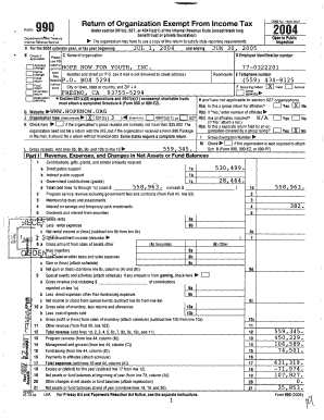 IRS Form 990 2004