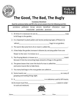 Vocabulary Worksheet