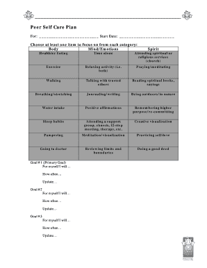 Peer Self Care Plan Template