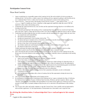 Participation Consent Form
