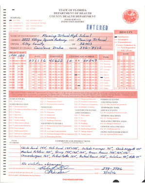 Florida Food Service Inspection Report
