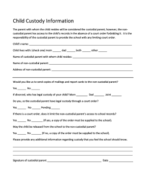 Child Custody Information Form
