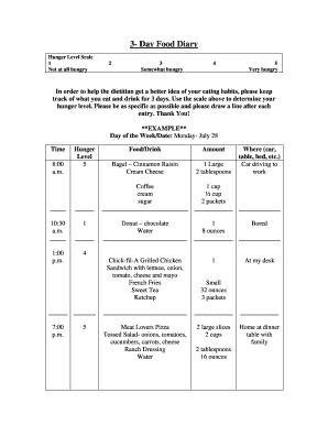 3-Day Food Diary