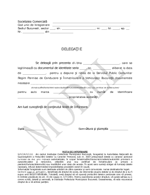 Vehicle Registration Delegation Form