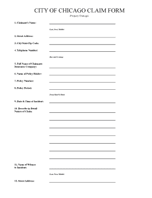 City of Chicago Property Damage Claim Form