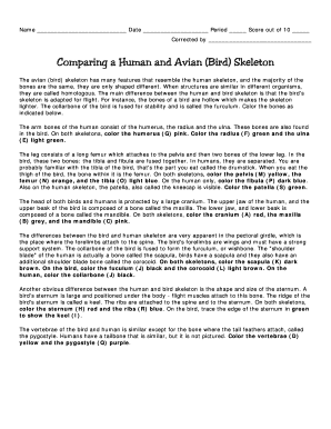 Comparing Human and Avian Skeleton Worksheet