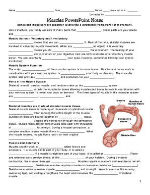 Muscles PowerPoint Notes Worksheet